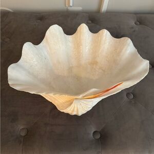 Large White Clam Shell Decor